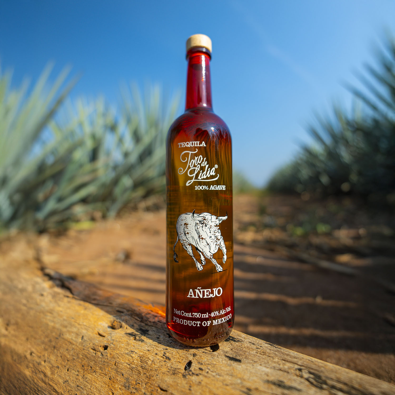 Tequila-toro-de-lidia-anejo-1