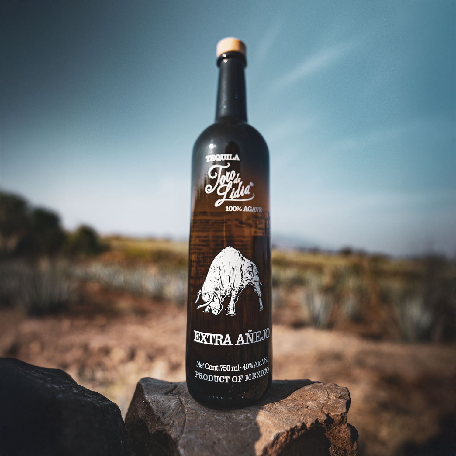 tequila-extra-anejo-3